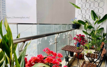 Cho thuê căn hộ chung cư 1 phòng ngủ toà Park 6, Vinhomes Central Park