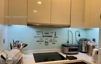 Cho thuê căn hộ chung cư 1 phòng ngủ toà Park 6, Vinhomes Central Park